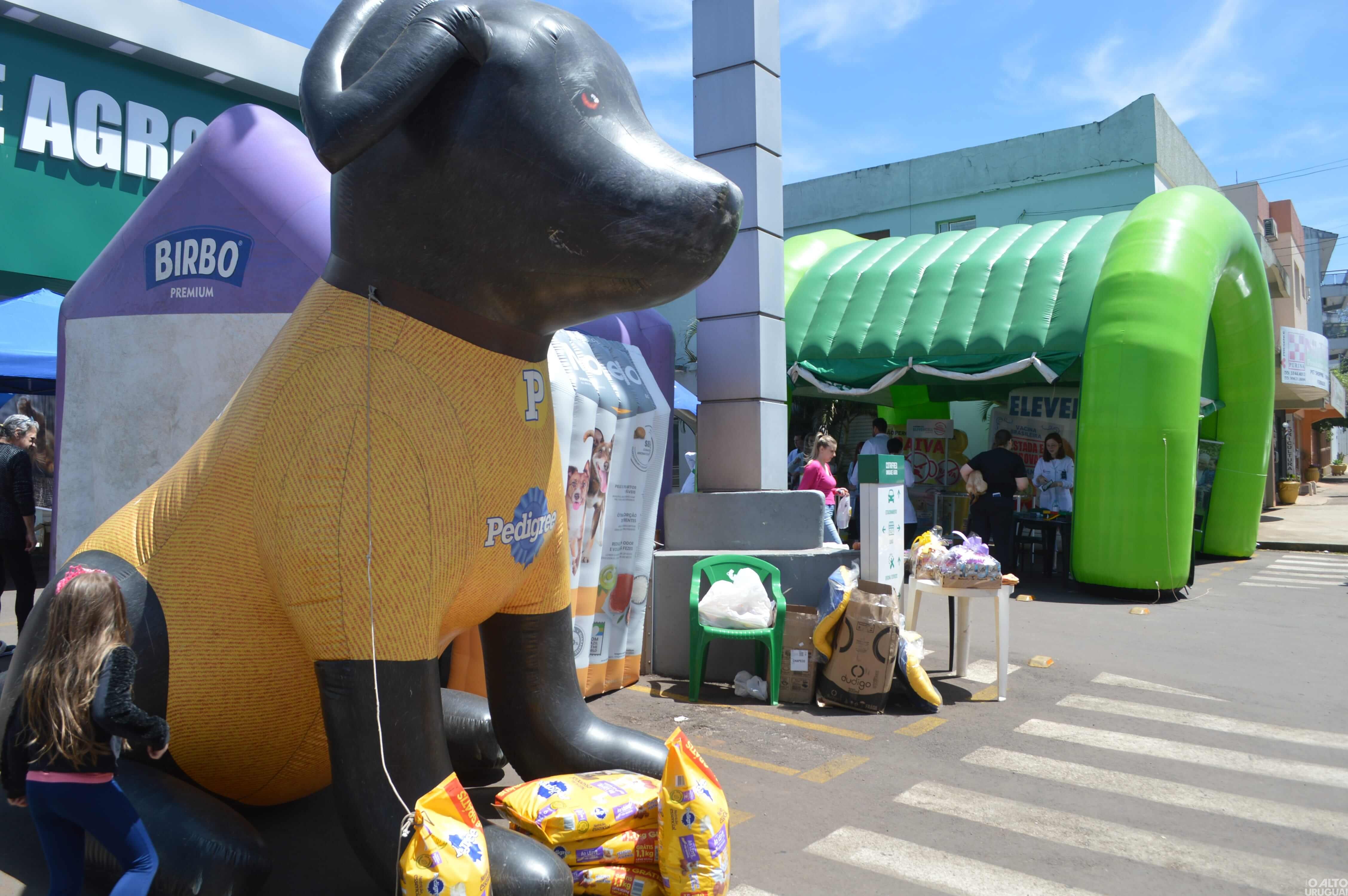 Sábado Pet é realizado em FW