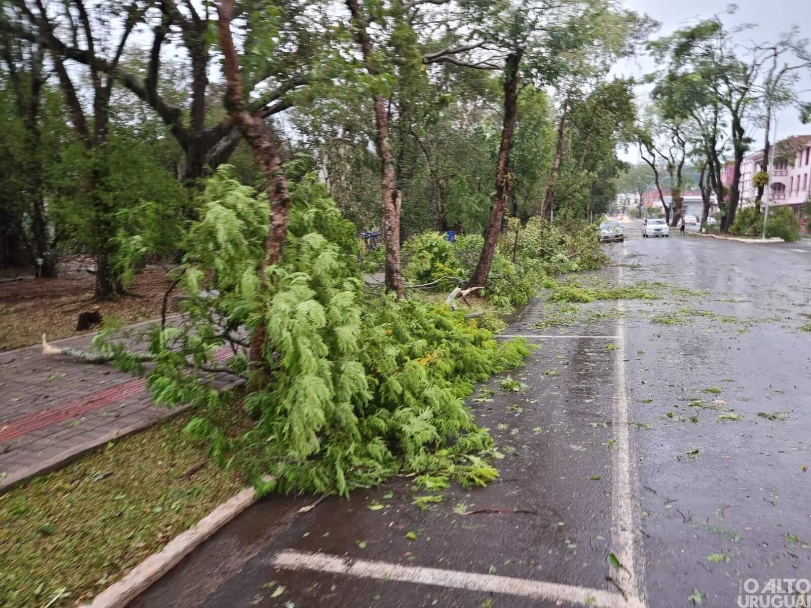 “Uma estiagem avassaladora, agora um temporal para levar o restante”