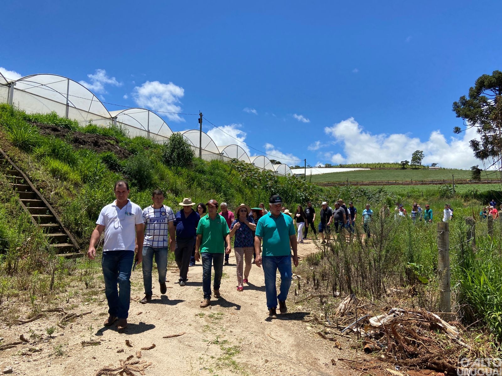Representantes do STR regional conhecem produção de morangos mineira