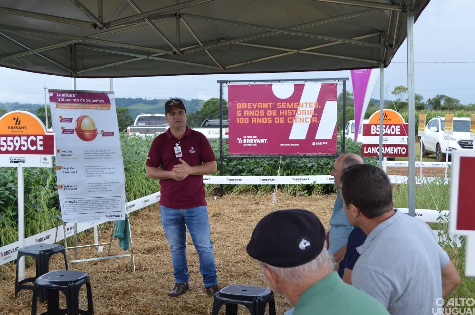 Cotrifred realiza Dia de Campo sobre o cultivo da soja