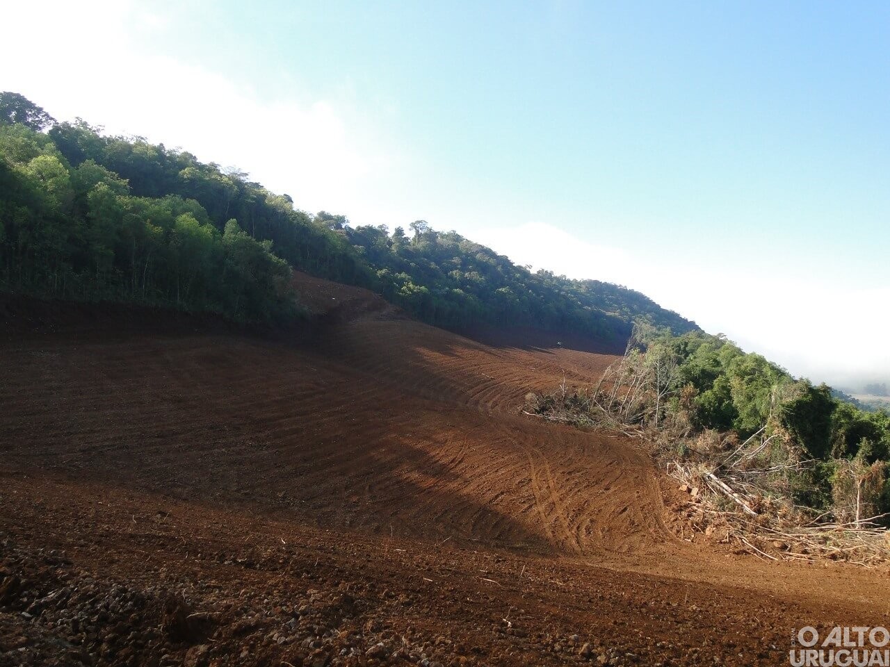 Saiba quais municípios mais desmataram e quais mantêm as maiores porções de Mata Atlântica
