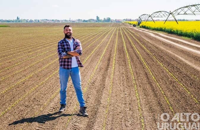 Estudantes do ramo agropecuário poderão desenvolver seus projetos em propriedades rurais de FW