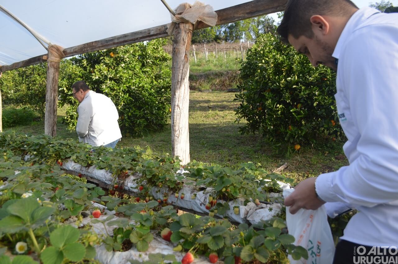 Sabores do Vale Café é inaugurada em FW