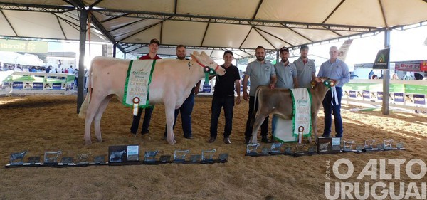 Vista Alegre destaca-se na competição de bovinos durante a Expofred
