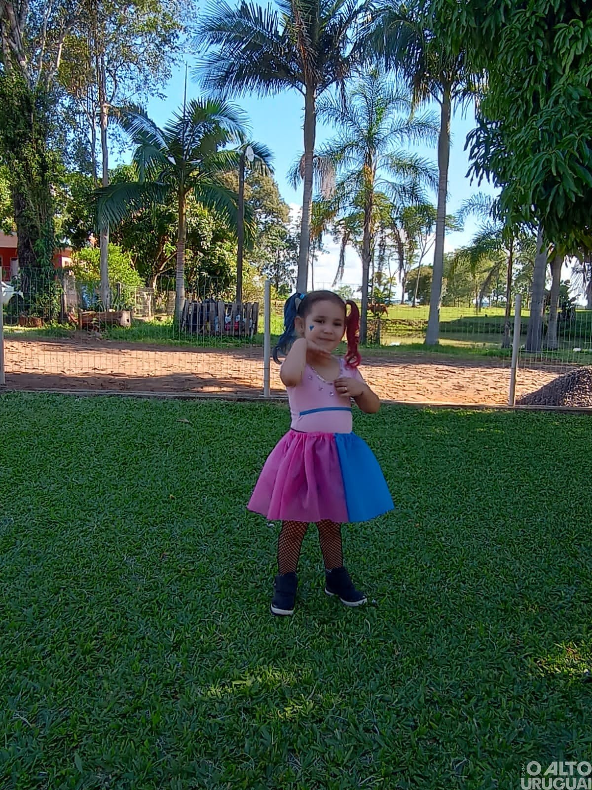 Comunidade da linha Alto Alegre realiza seu primeiro Baile de Carnaval