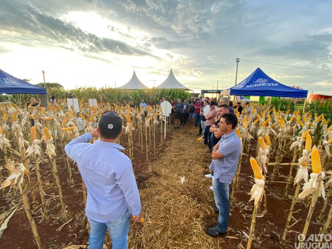 Cotrifred realiza primeira noite de campo em FW