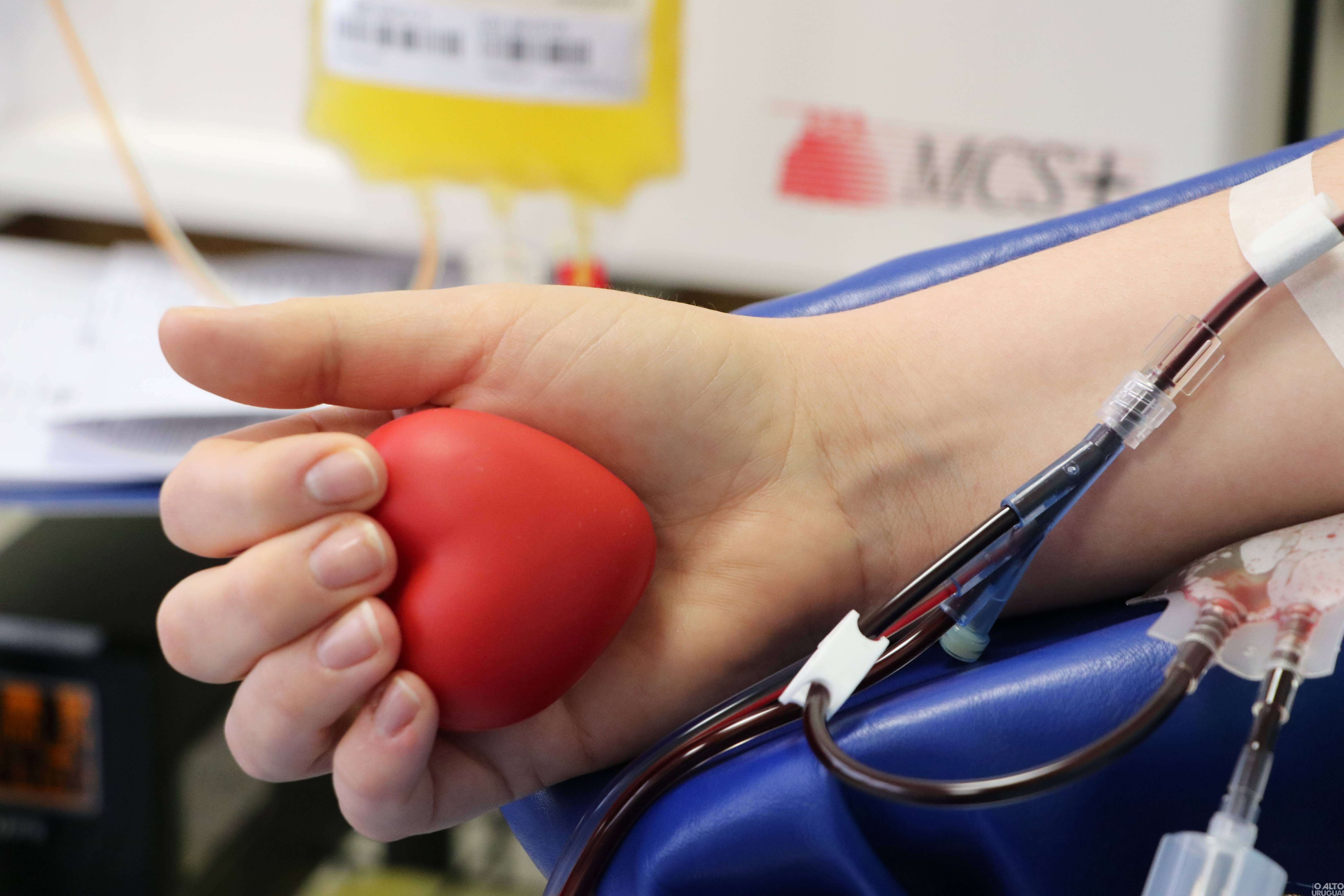 Hemoterapia do HSVP precisa de doadores de sangue