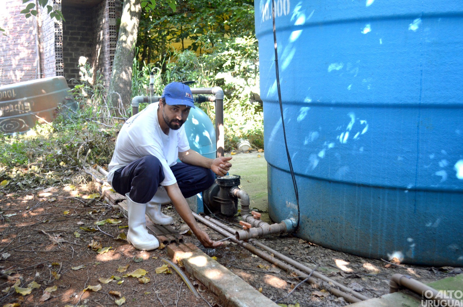Implantação de cisternas é a opção para enfrentar escassez hídrica na suinocultura