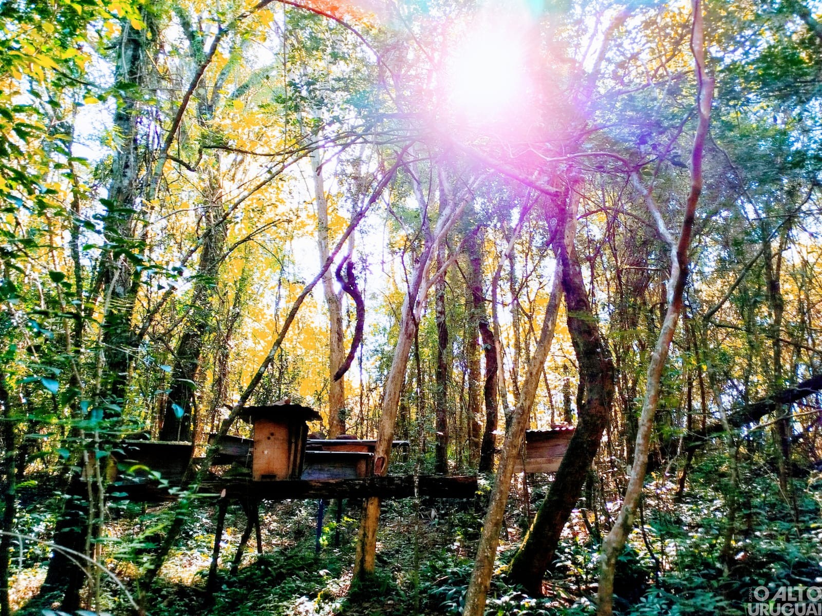 Fotografias registram olhares da infância em Novo Tiradentes