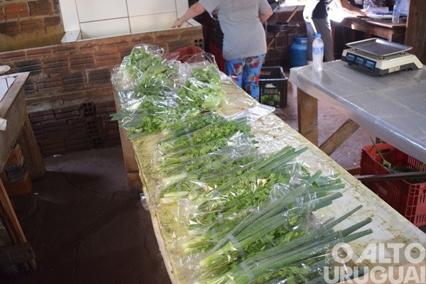 Feira Orgânica da UFSM/FW completa seis anos