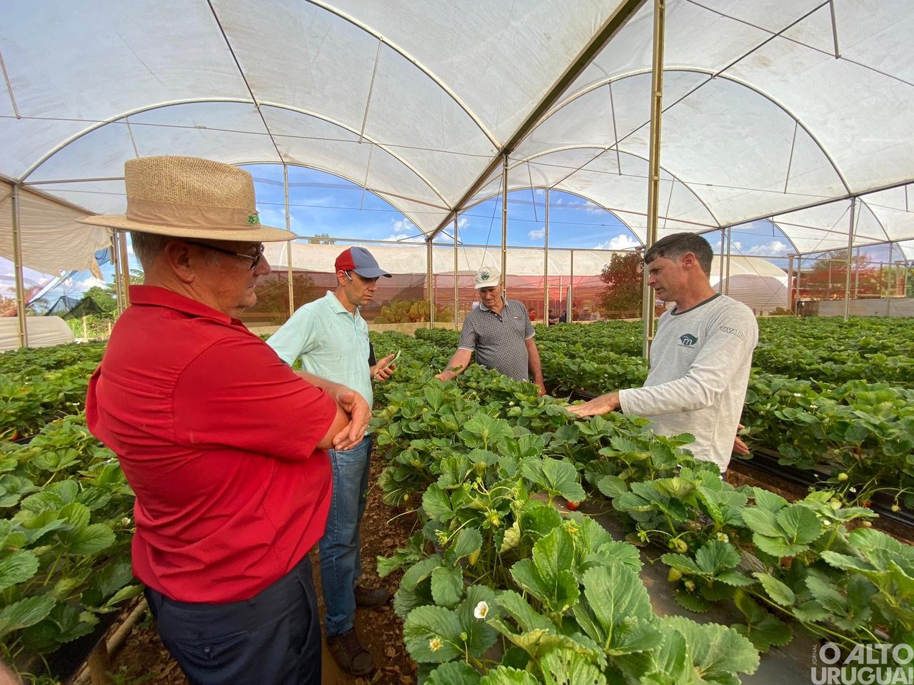 Visitas técnicas do STR iniciam em propriedades de hortifruti