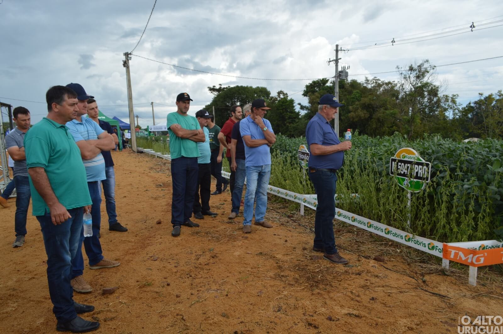 Cotrifred realiza Dia de Campo sobre o cultivo da soja