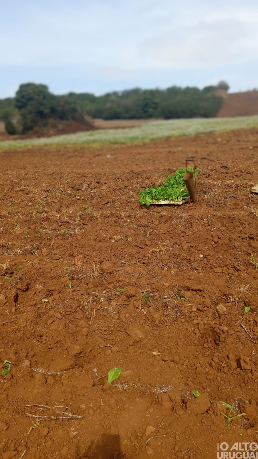 Fotografias registram olhares da infância em Novo Tiradentes