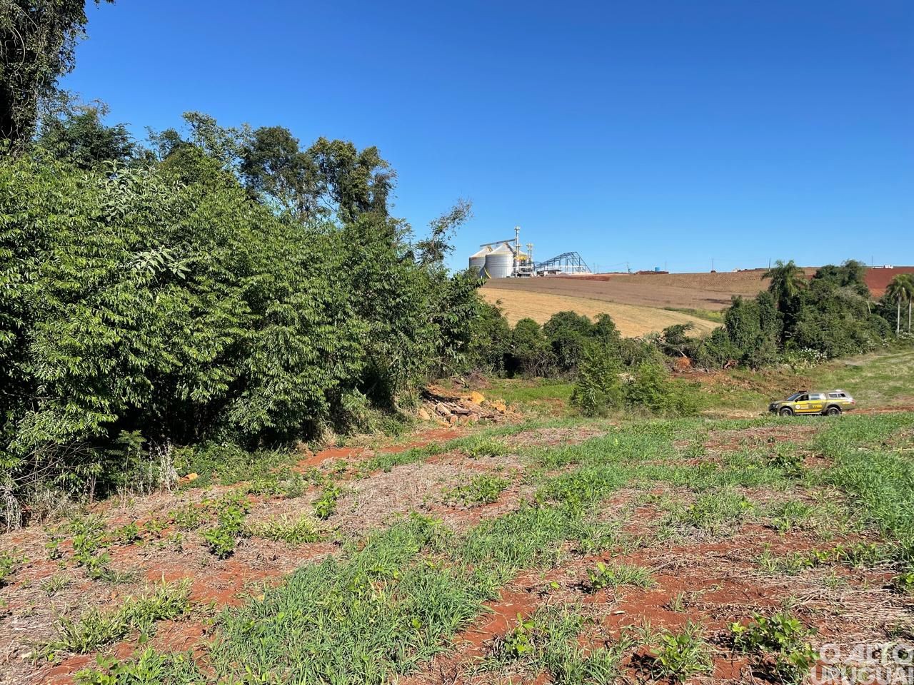 Brigada Militar flagra desmatamento em Rodeio Bonito