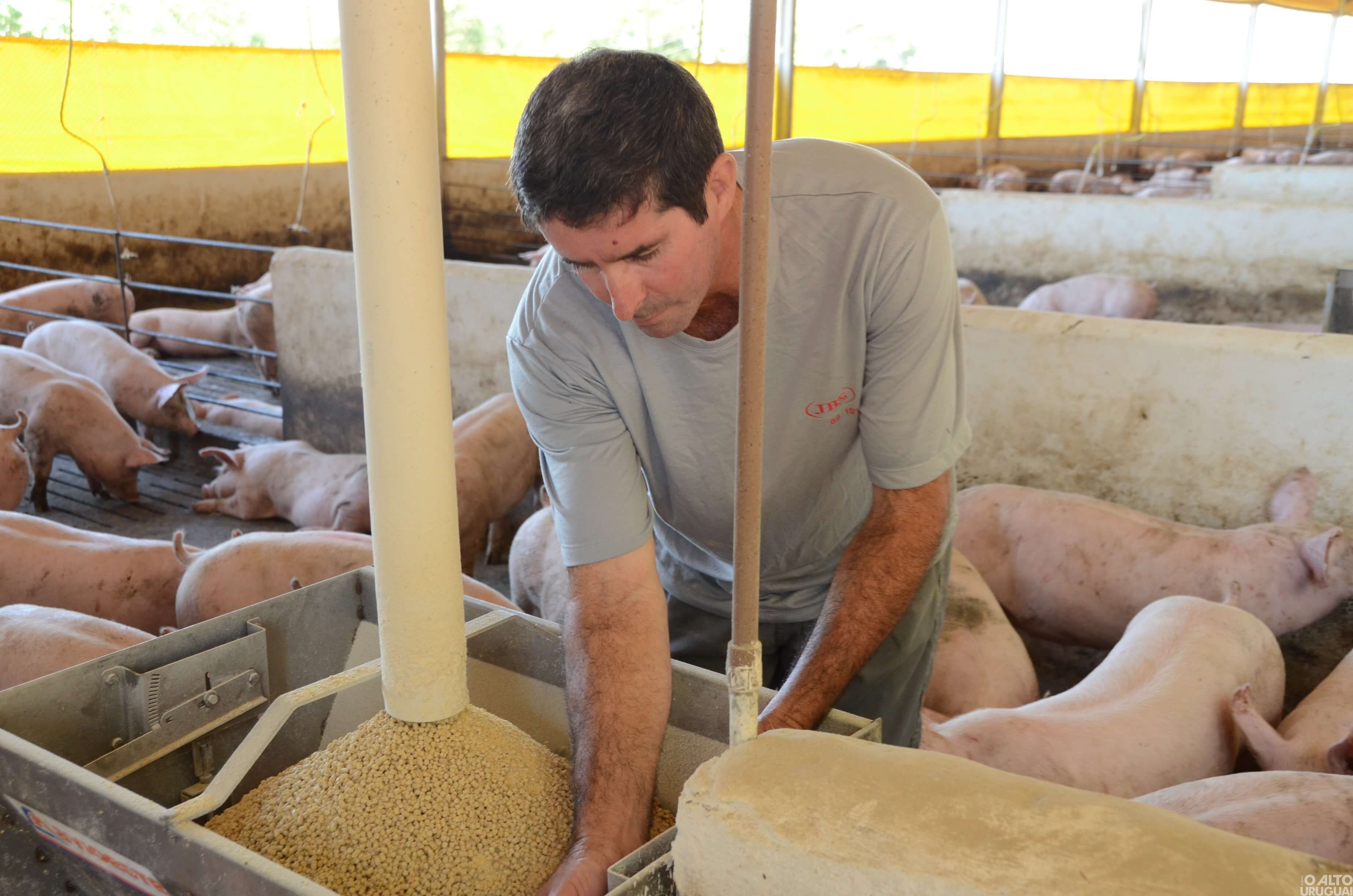 Exportações movimentam R$ 460 milhões em Seberi