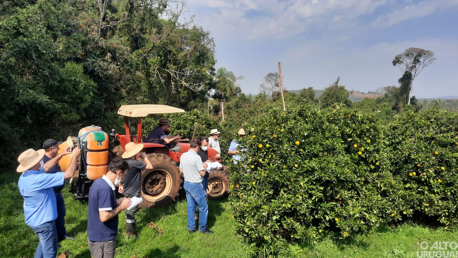 Tecnologia de aplicação e manejo de pomares é foco de capacitação para extensionistas