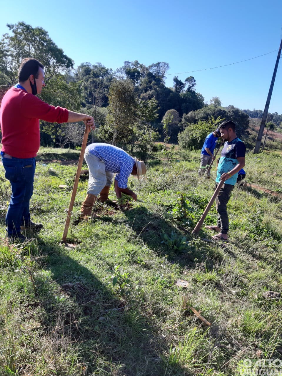 Erval Seco: aldeia indígena recebe mudas de árvores nativas