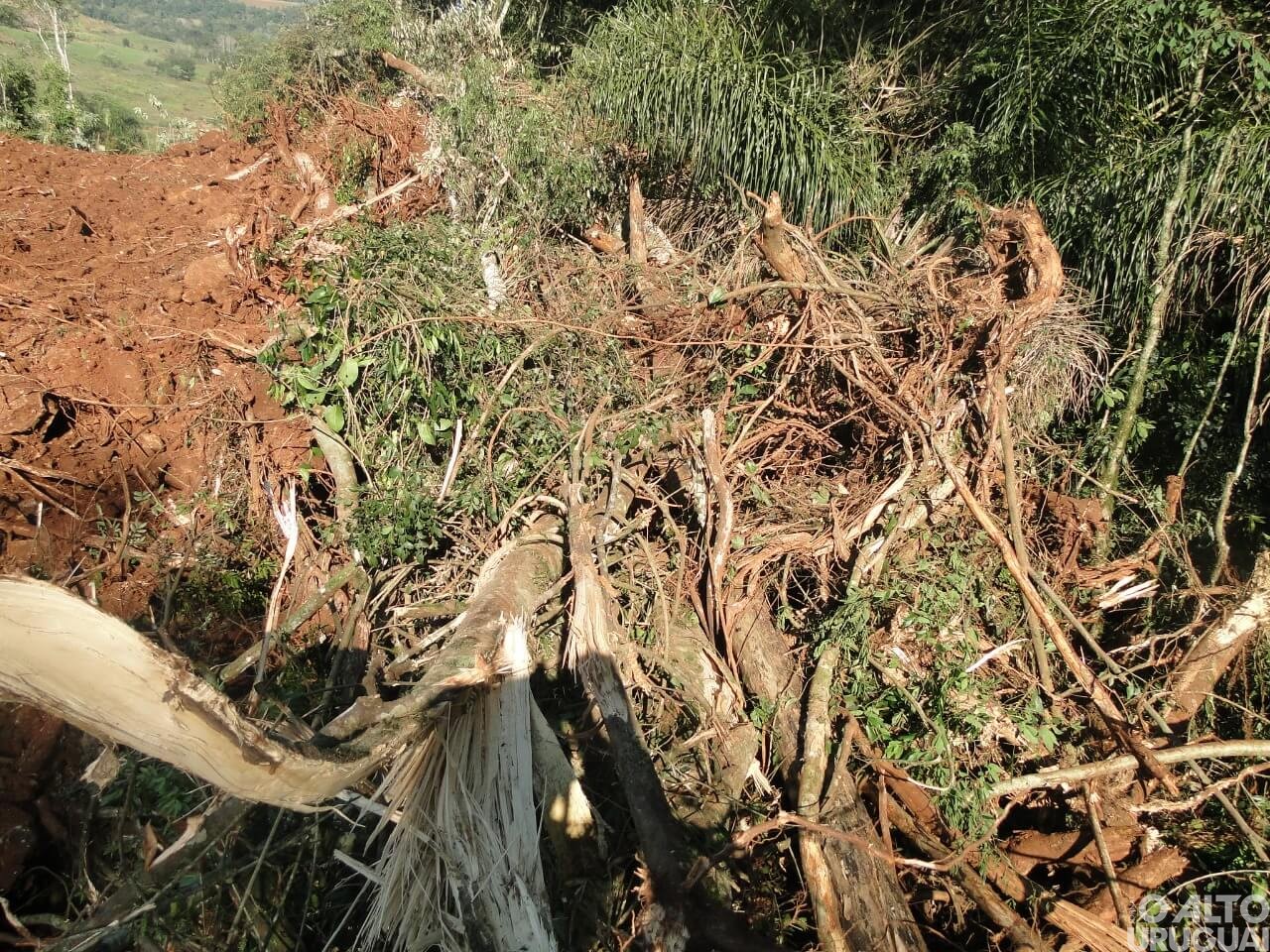 Patram-FW flagra desmatamento no interior de Palmitinho