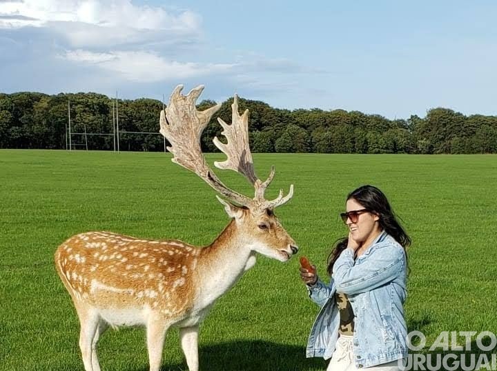 Uma seberiense pela Irlanda