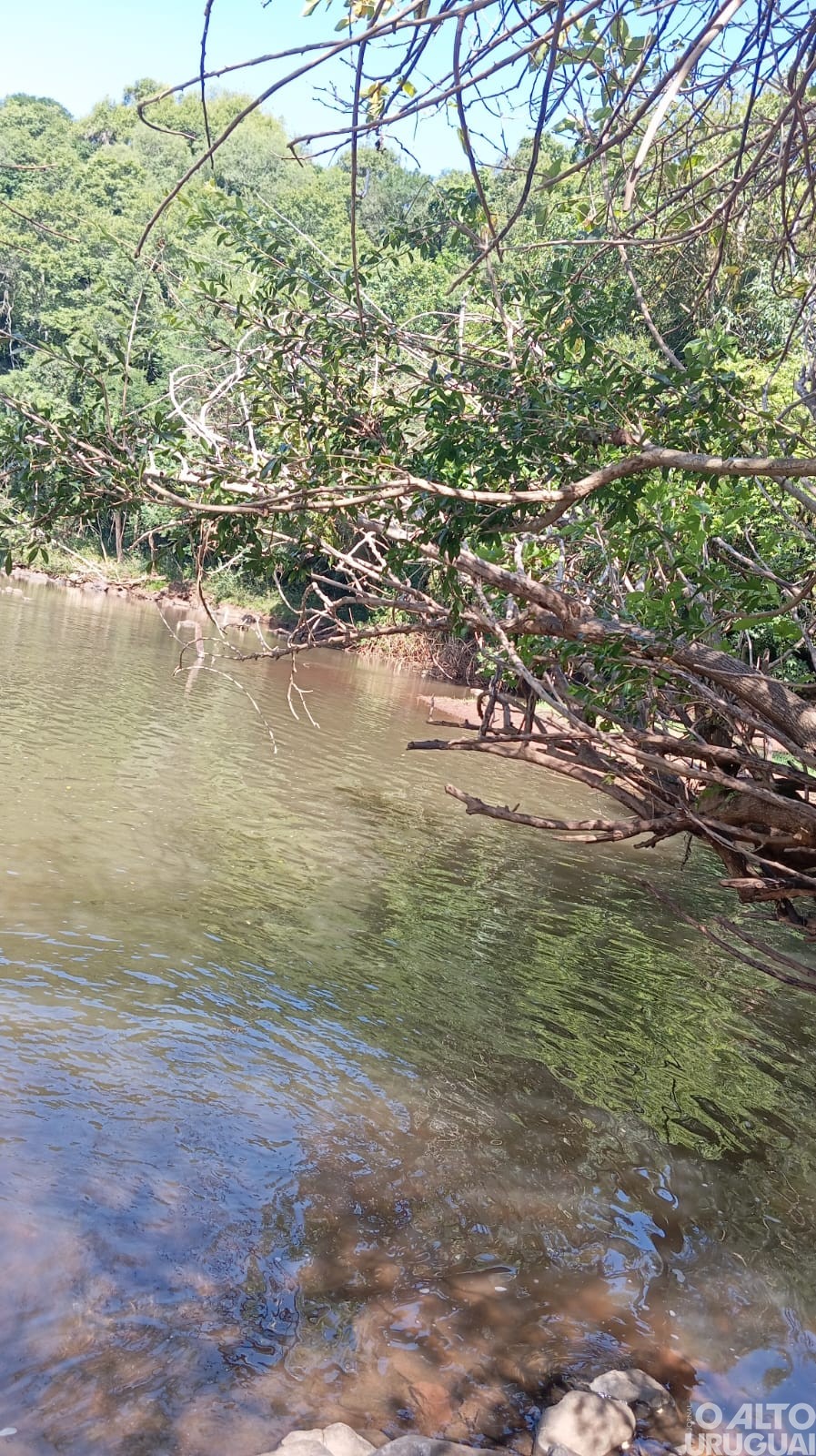 Estudantes do Ensino Fundamental participam da 6ª edição do Concurso Fotográfico de Novo Tiradentes