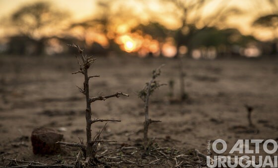 Relatório da ONU aponta que clima está em "alerta vermelho"