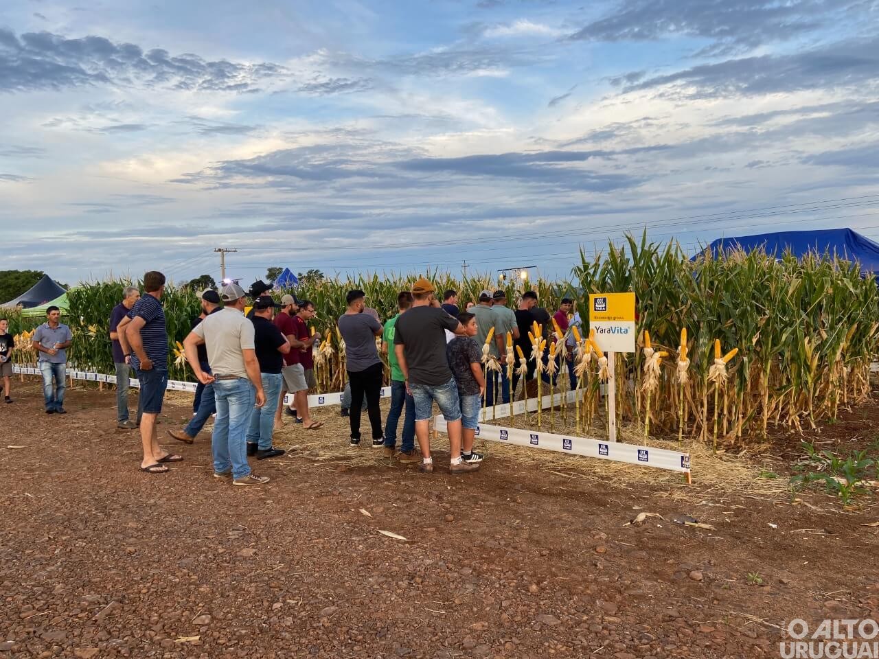 Cotrifred realiza primeira noite de campo em FW