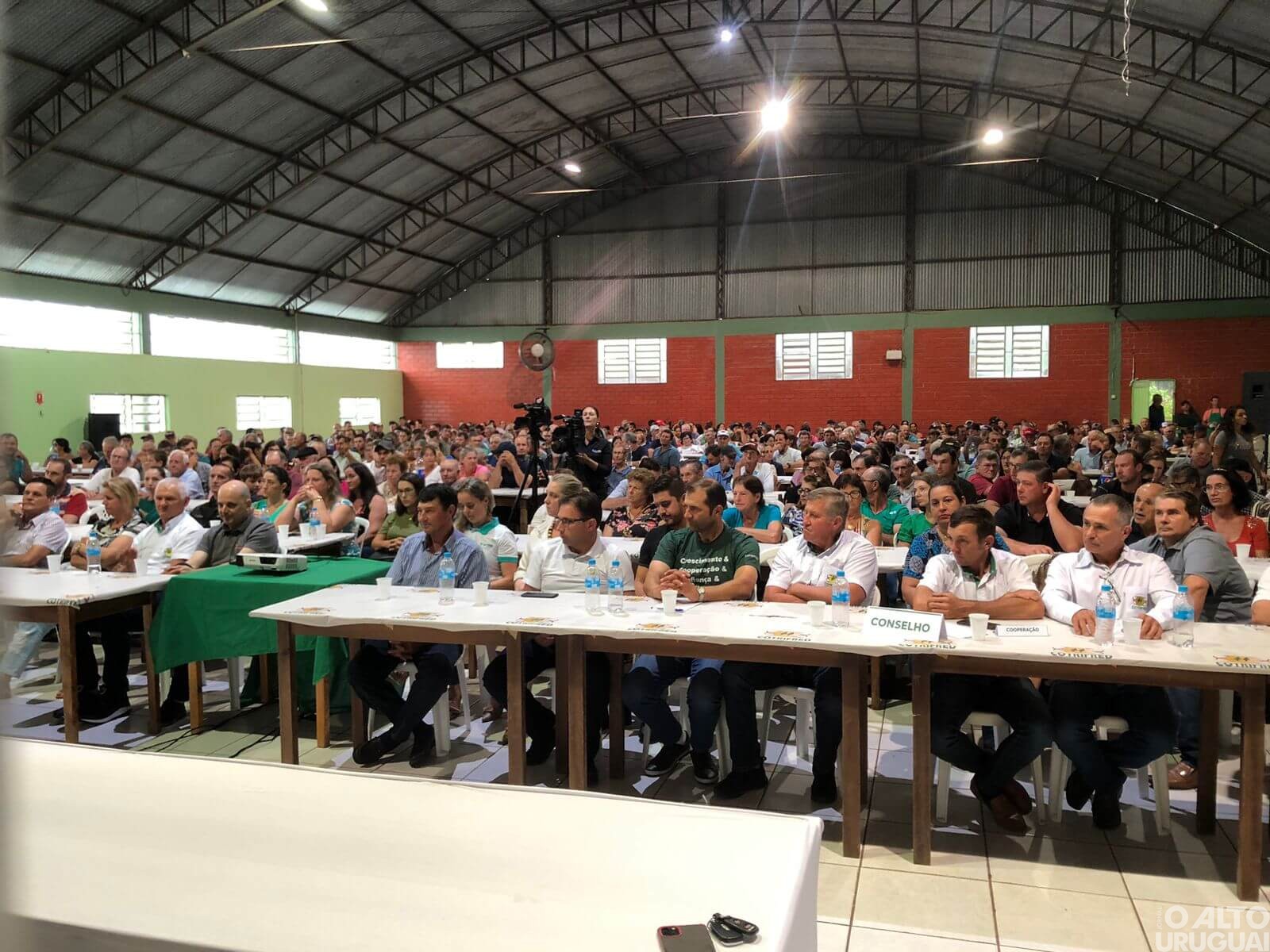 Cotrifred cresce 530% entre 2010 e 2022