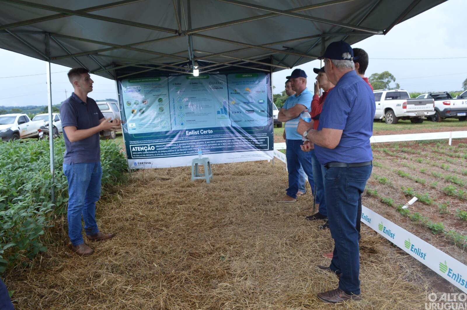 Cotrifred realiza Dia de Campo sobre o cultivo da soja