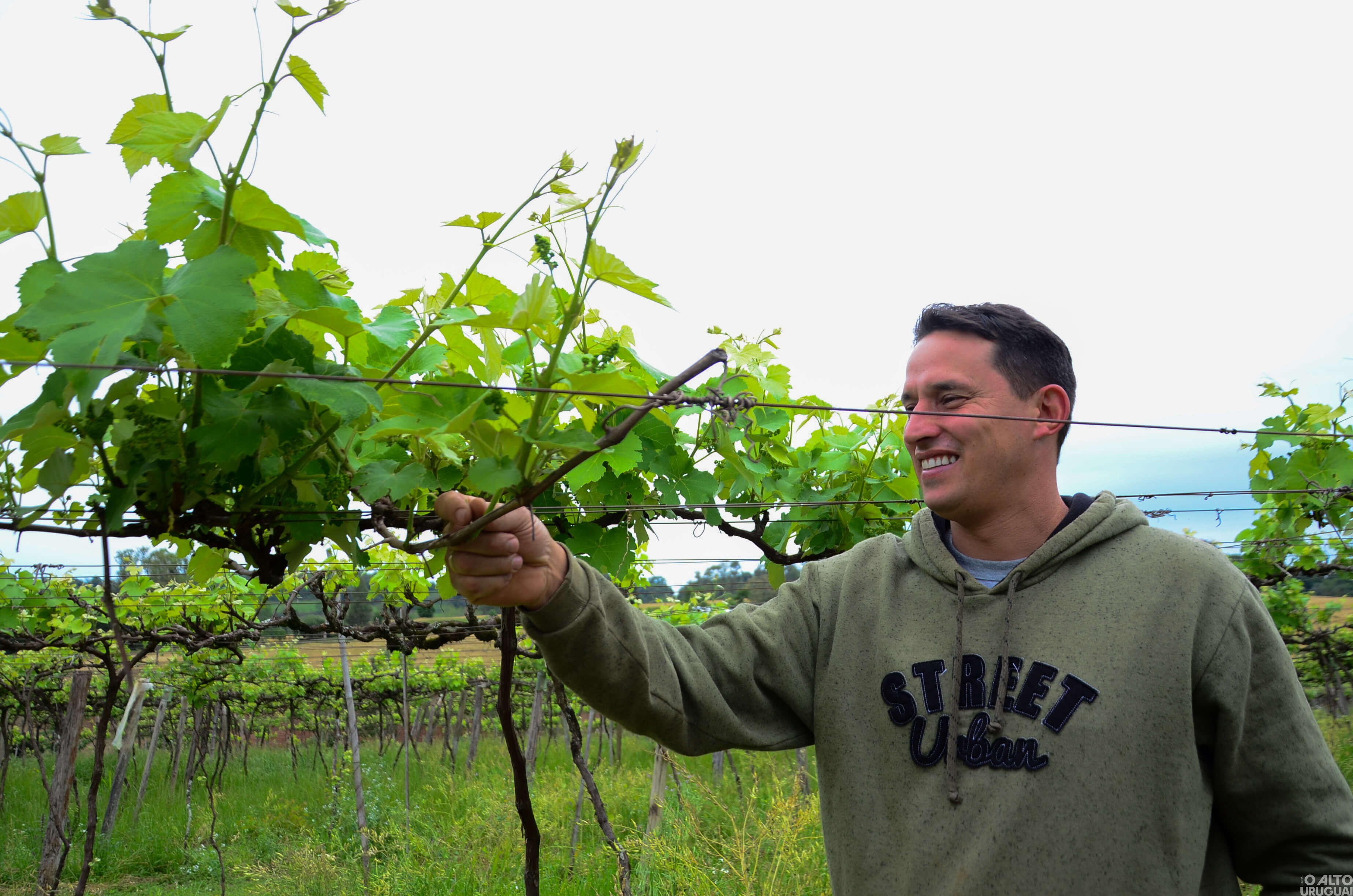 Indústria de bebidas Ferigollo busca consolidar turismo de aventura e conhecimento na região