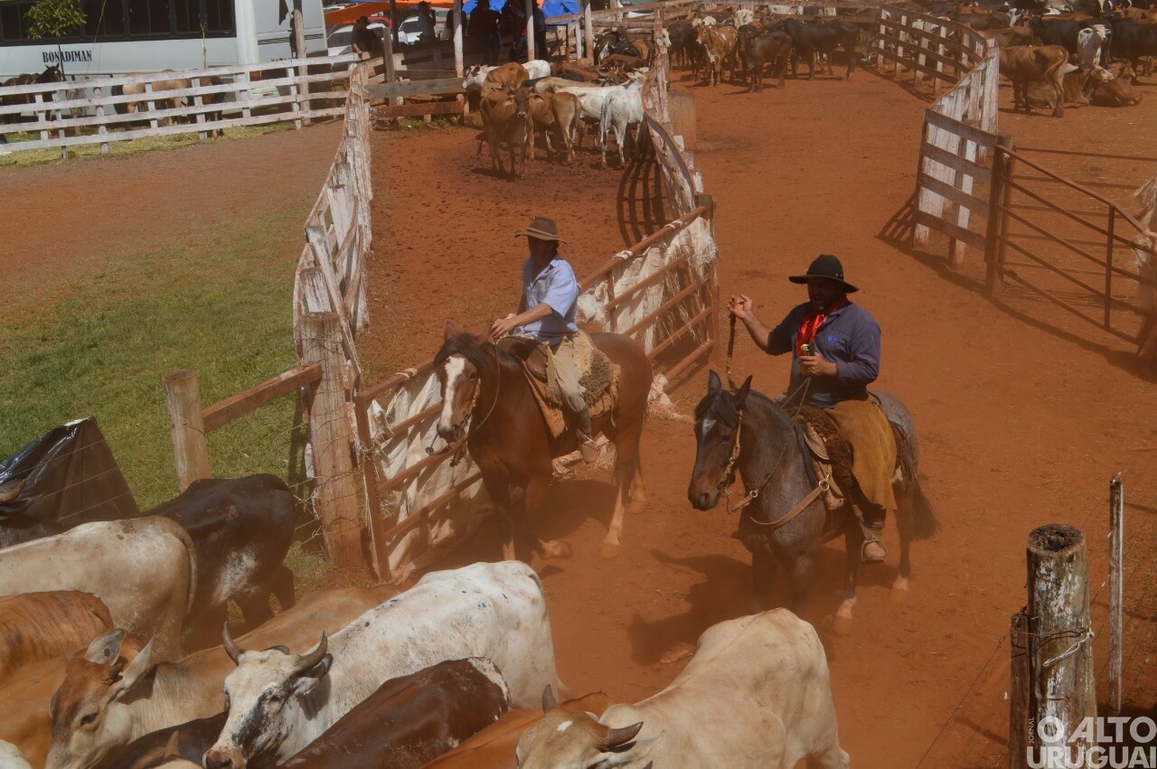 Rodeio Crioulo Interestadual de Seberi encerra neste domingo