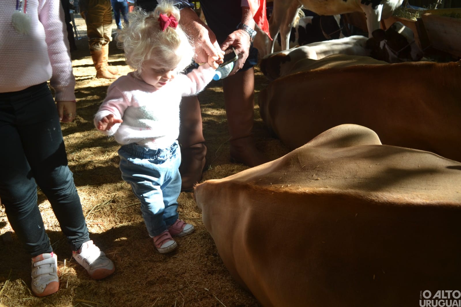Boa Vista das Missões: Rodeio Crioulo reúne grande número de tradicionalistas