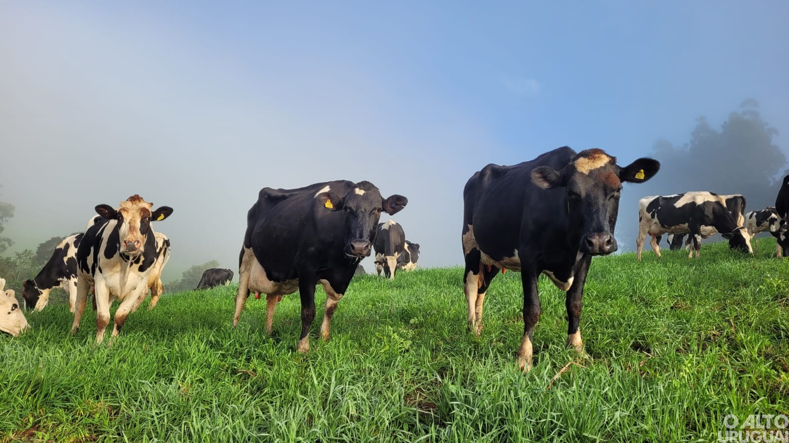 Fotografias registram olhares da infância em Novo Tiradentes