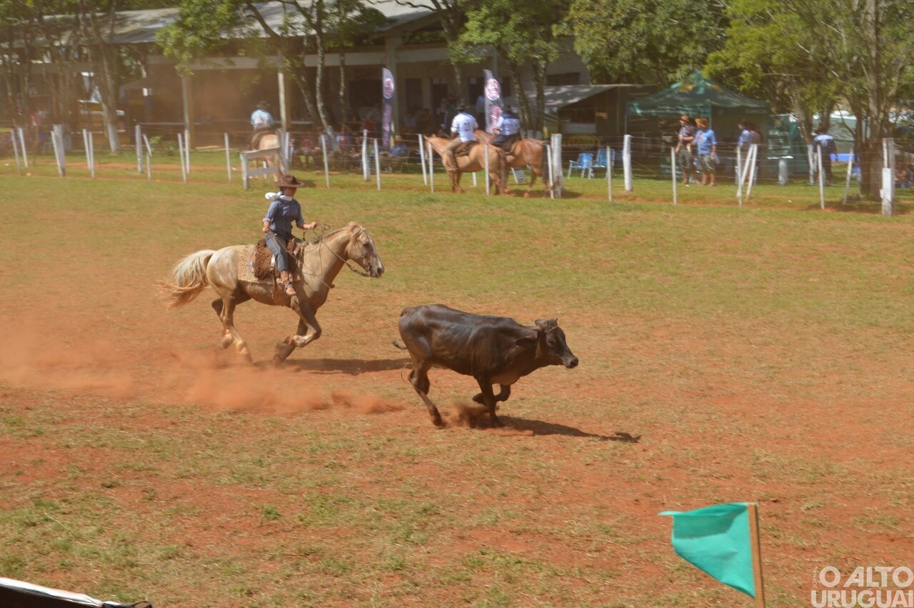Rodeio Crioulo Interestadual de Seberi encerra neste domingo
