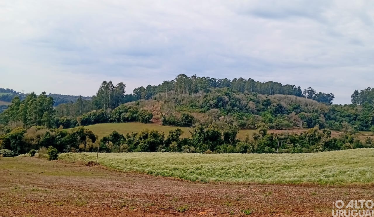 Categoria ensino médio, EJA e livre é destaque no Concurso Fotográfico de Novo Tiradentes