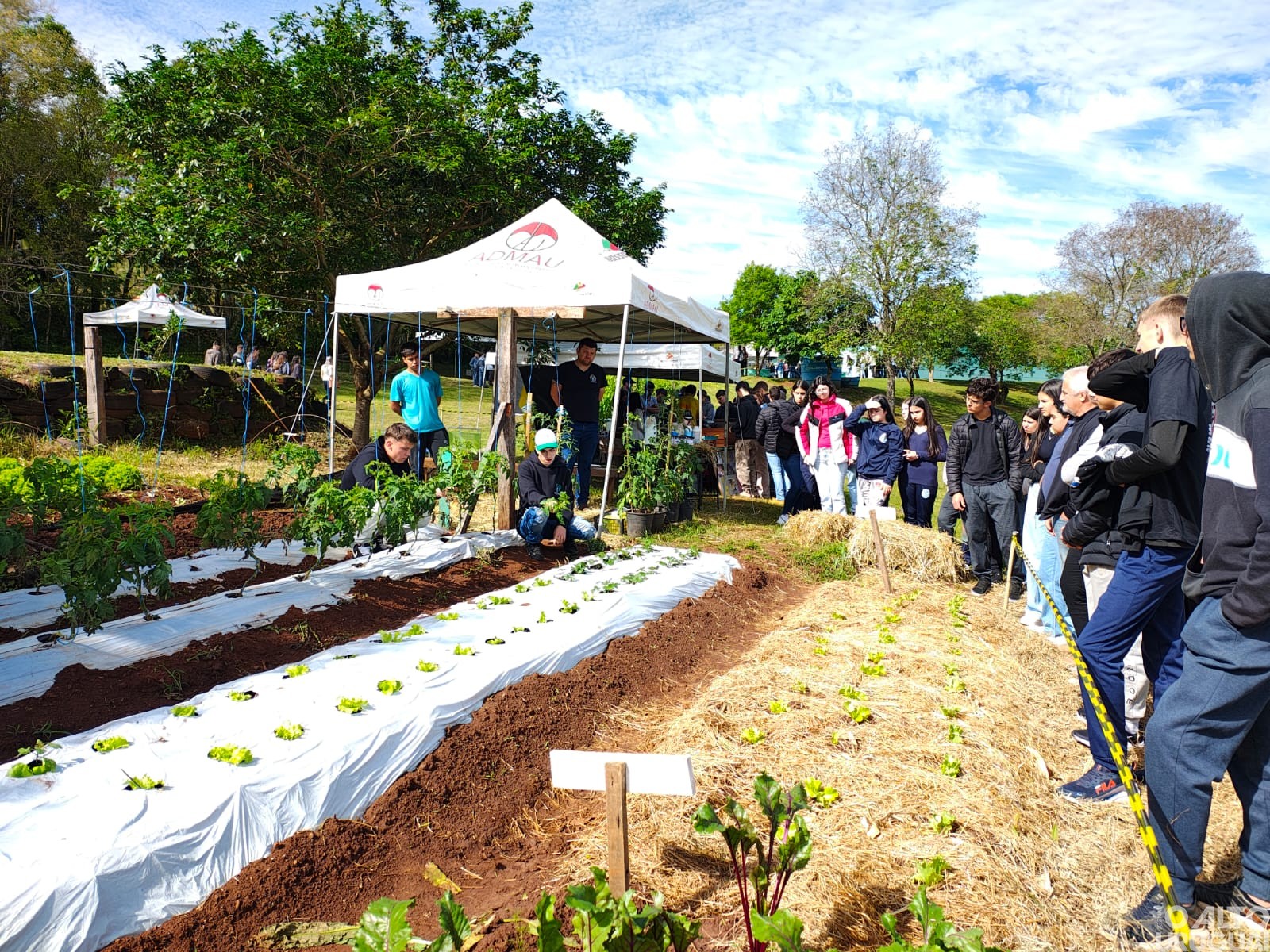 Realizada oficina técnico-pedagógica na CFR-FW