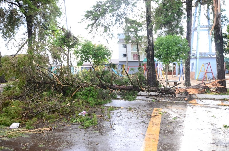 Vendaval causa estragos em Caiçara