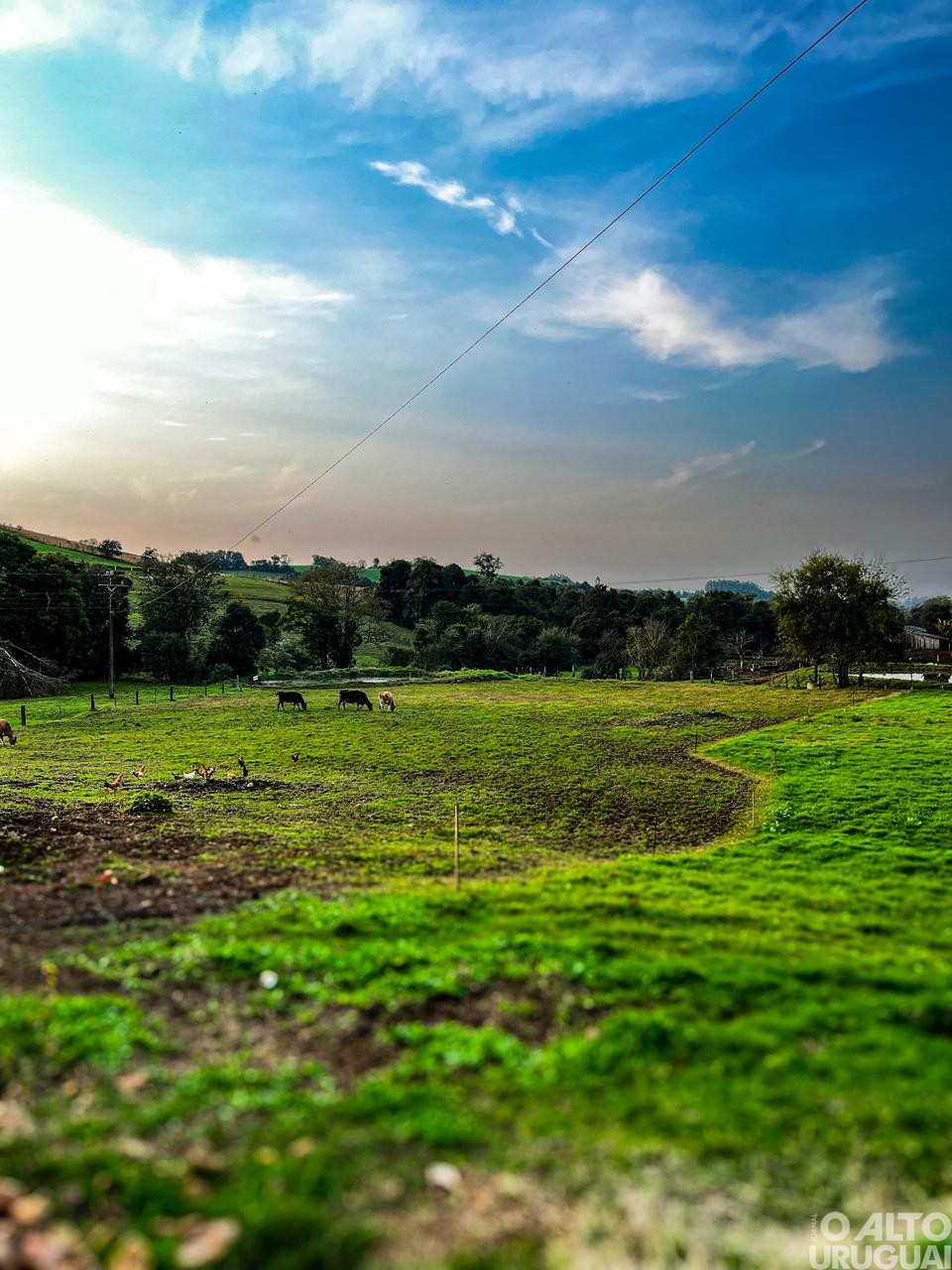 Estudantes do Ensino Fundamental participam da 6ª edição do Concurso Fotográfico de Novo Tiradentes