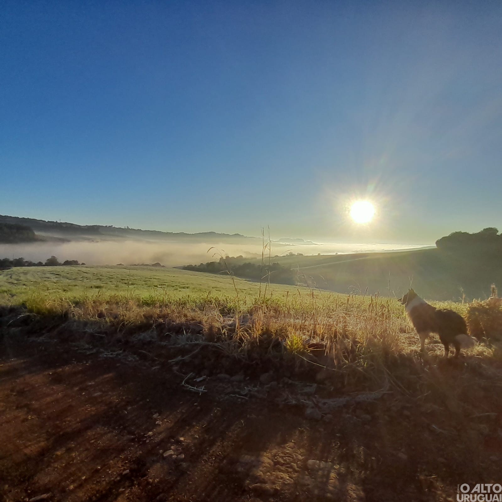 Estudantes do Ensino Fundamental participam da 6ª edição do Concurso Fotográfico de Novo Tiradentes