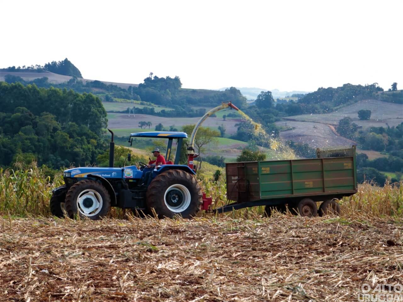 Prefeitura de Novo Tiradentes auxilia produtores na produção de silagem