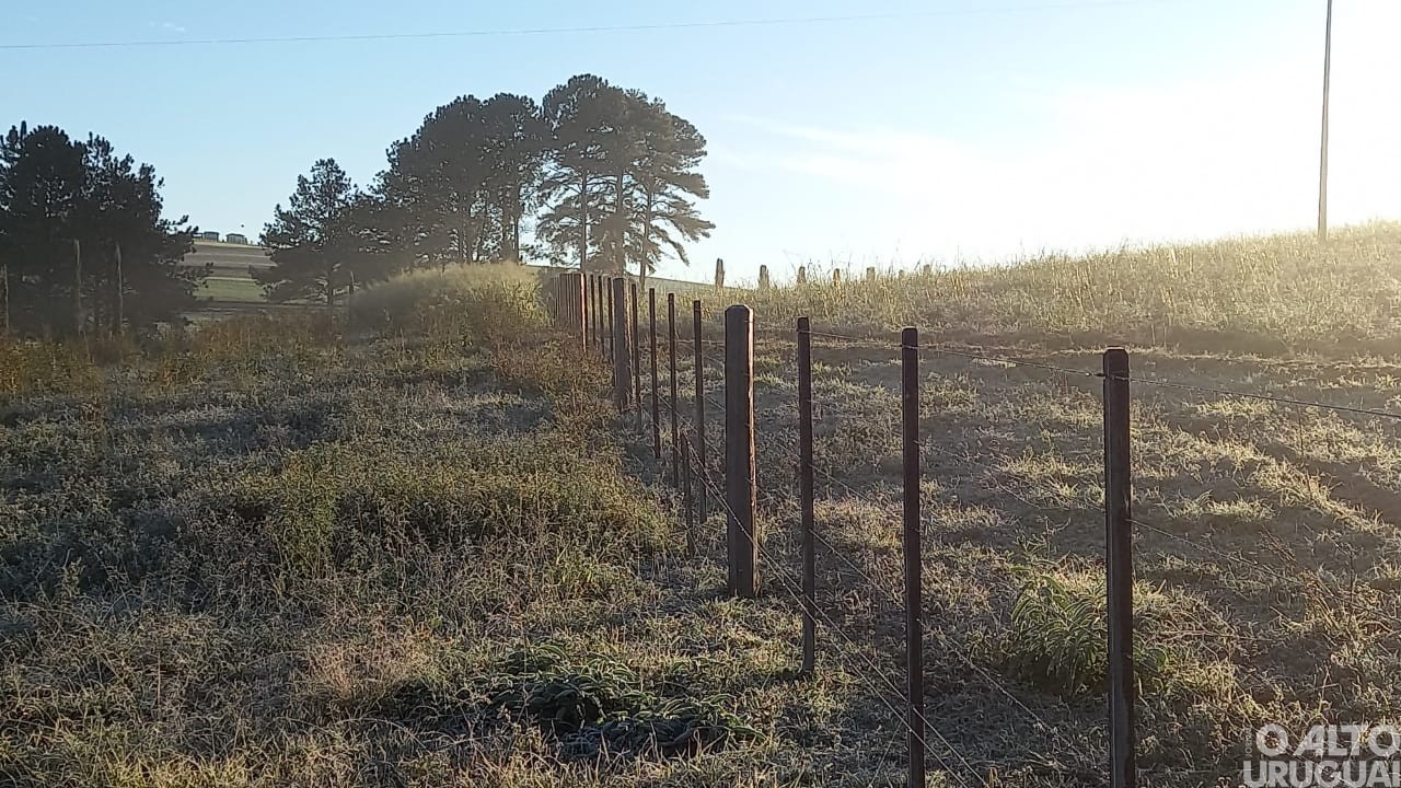 Morador registra geada na região