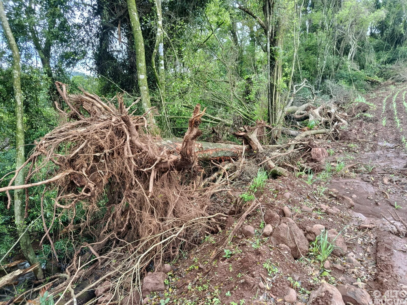 3ºBABM registra 39 mil metros quadrados de desmatamento em Seberi e Erval Seco