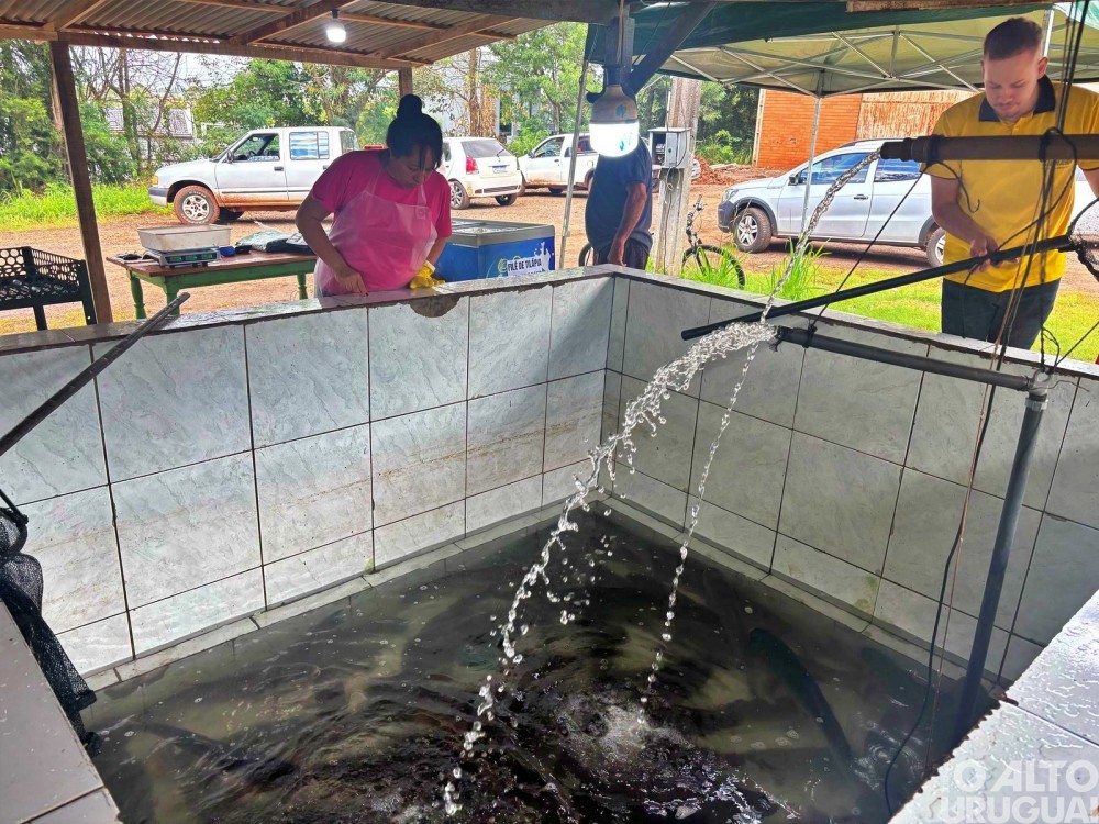 Palmeira das Missões: Feira do Peixe segue até esta sexta-feira