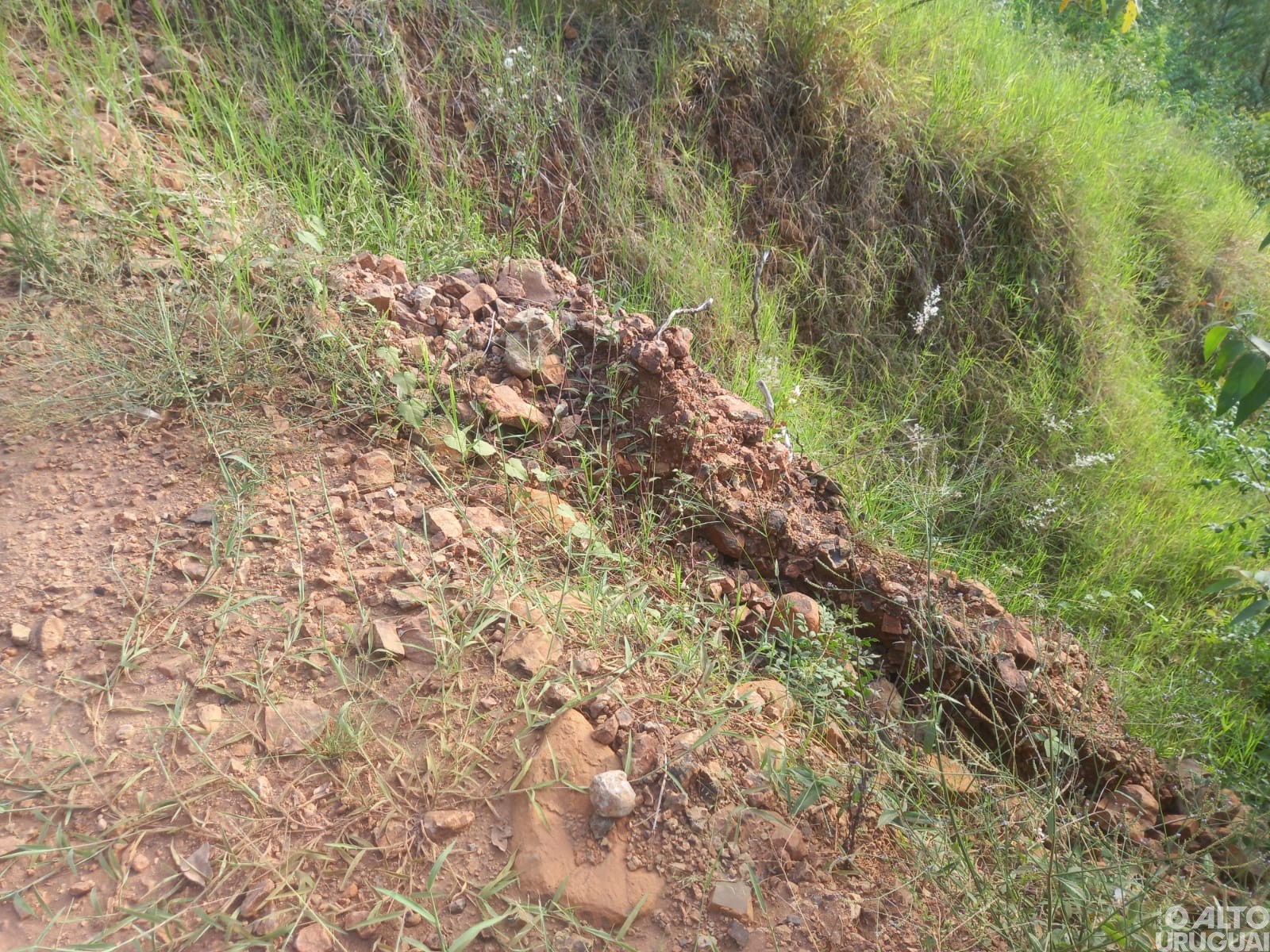 Planalto decreta emergência em virtude da estiagem