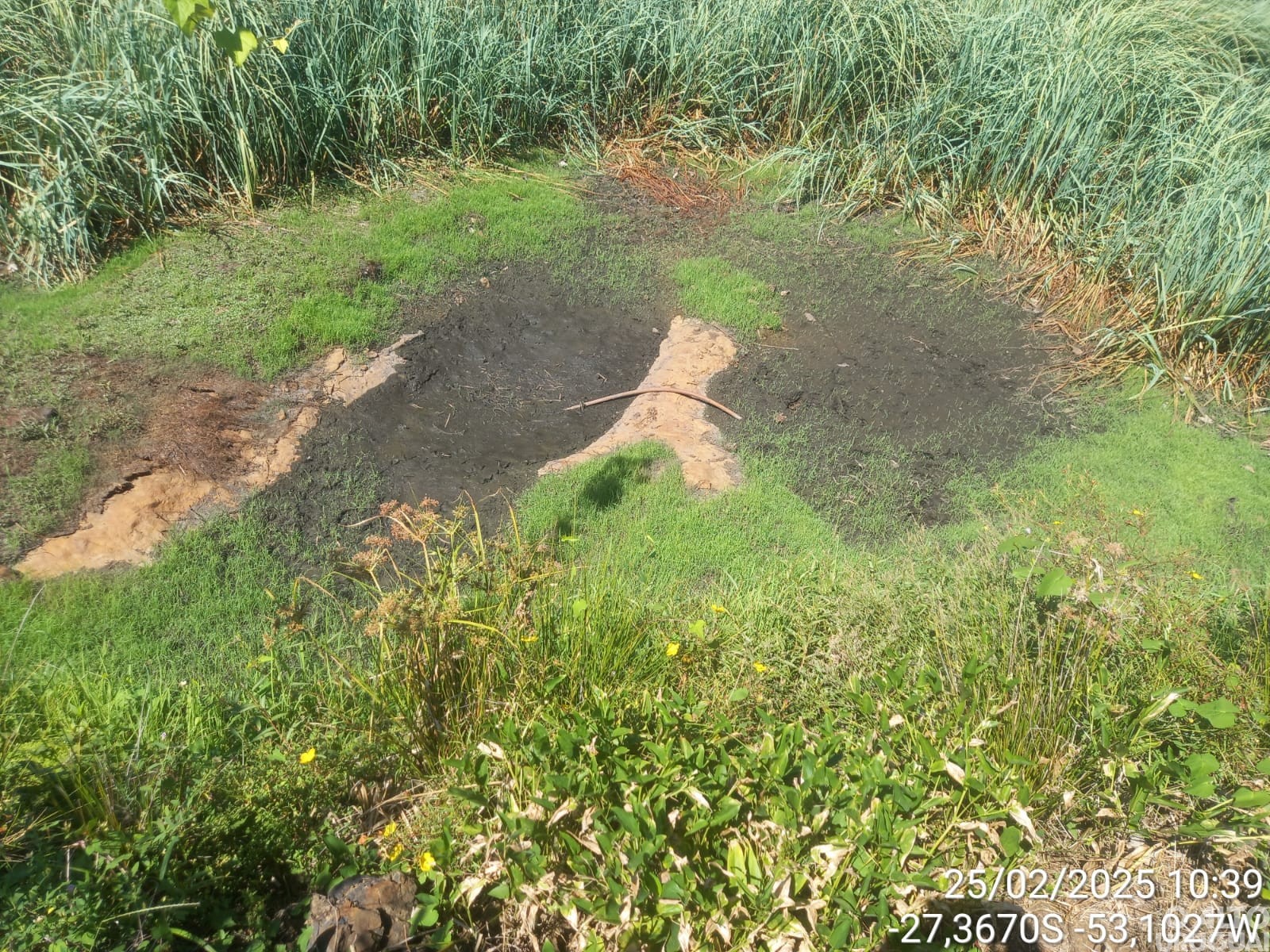 Planalto decreta emergência em virtude da estiagem