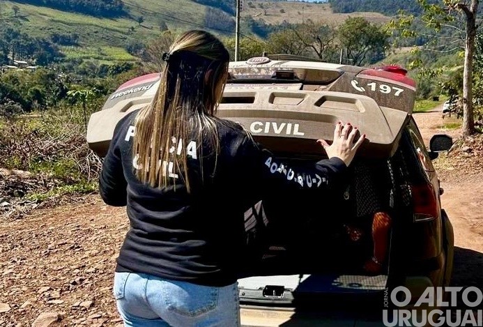 Presos quatro homens por crimes de estupro de vulnerável na região