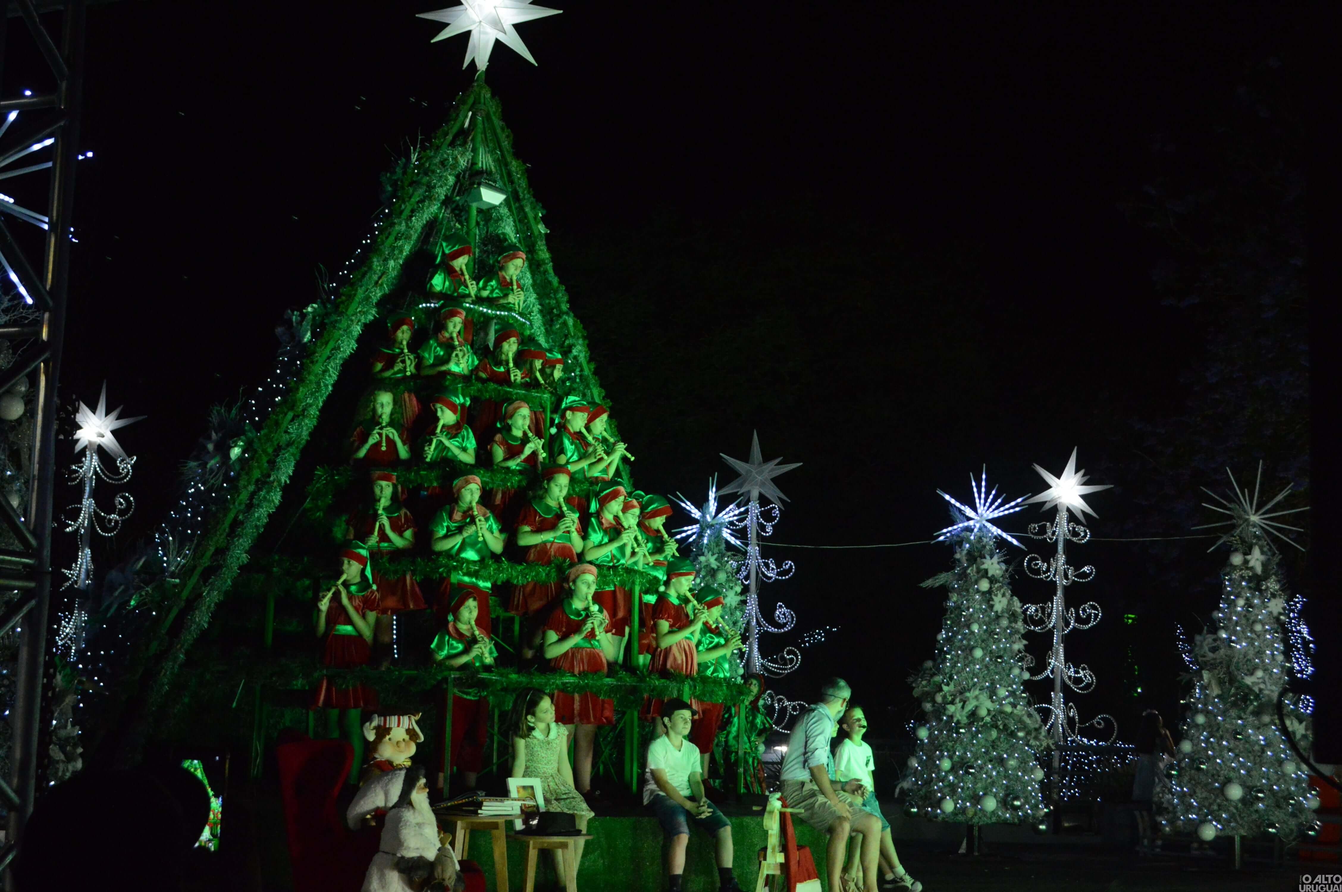 Árvore Cantante encanta noite do Frederico em Luz