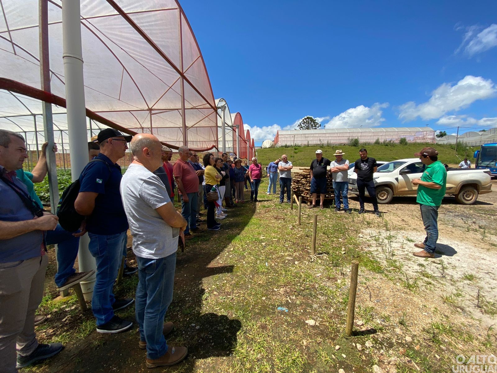 Representantes do STR regional conhecem produção de morangos mineira