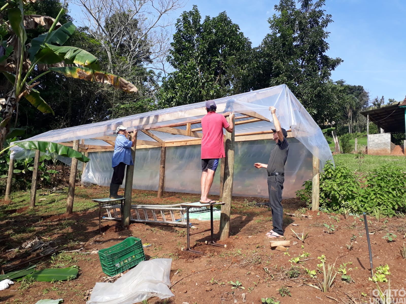 Escola Carlos Becker desenvolve projeto Dinheiro Contadinho em Alpestre