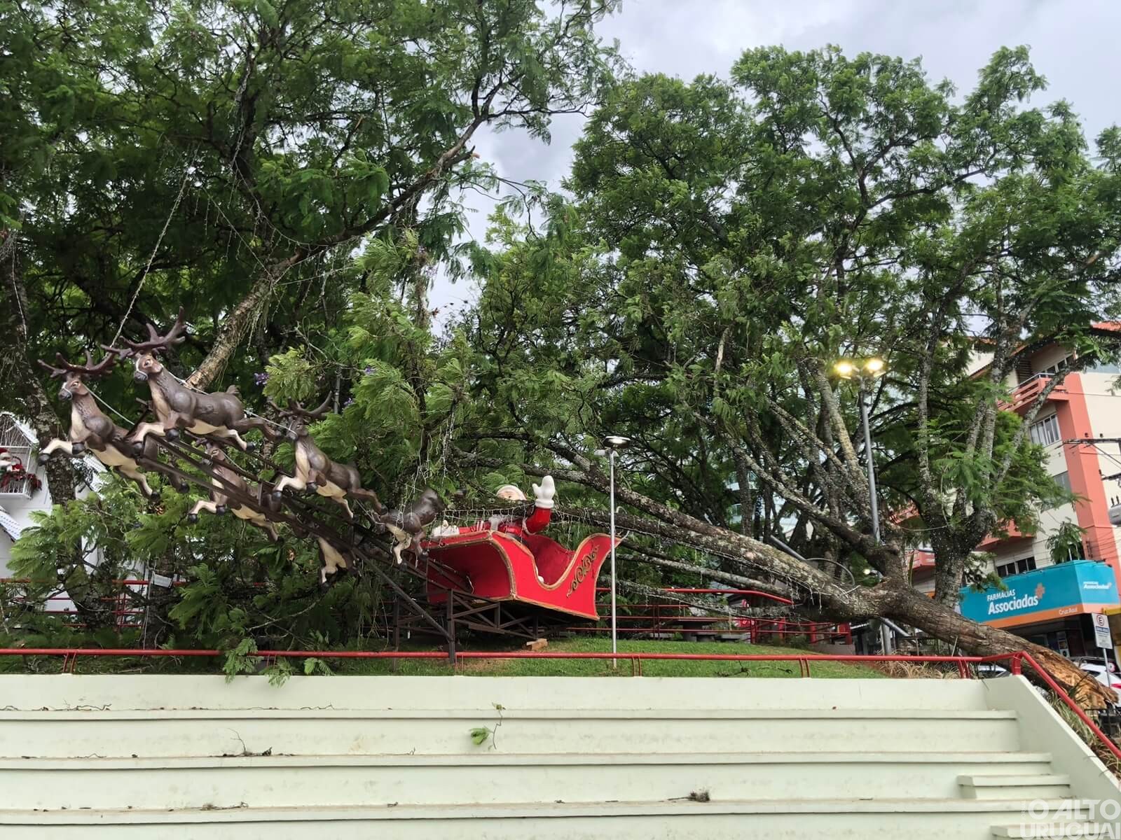 Queda de árvore é registrada do Centro de FW