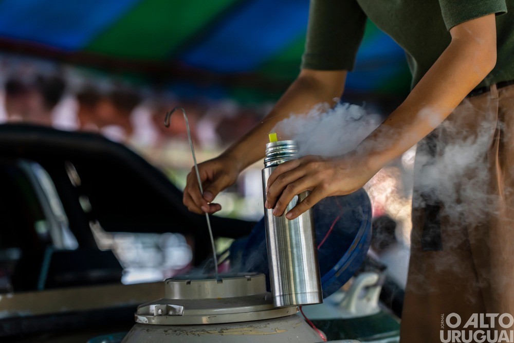 Planalto dará início ao Programa de Inseminação com Sêmen Sexado